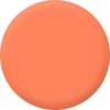 Candy Coat PRO Palette - Maci - Nº 208