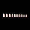 Gel-X™ Neutrals Maisie Natural Round Medium Box of Tips