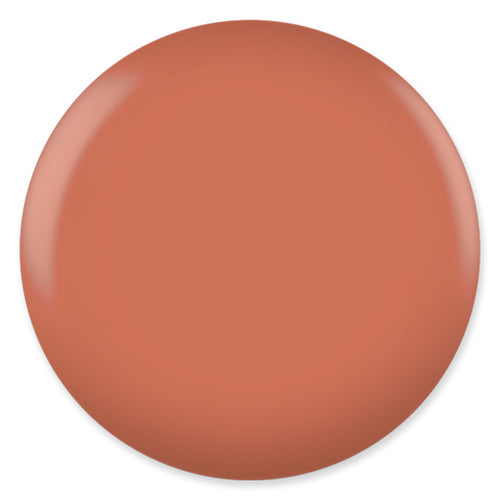 Shell Pink